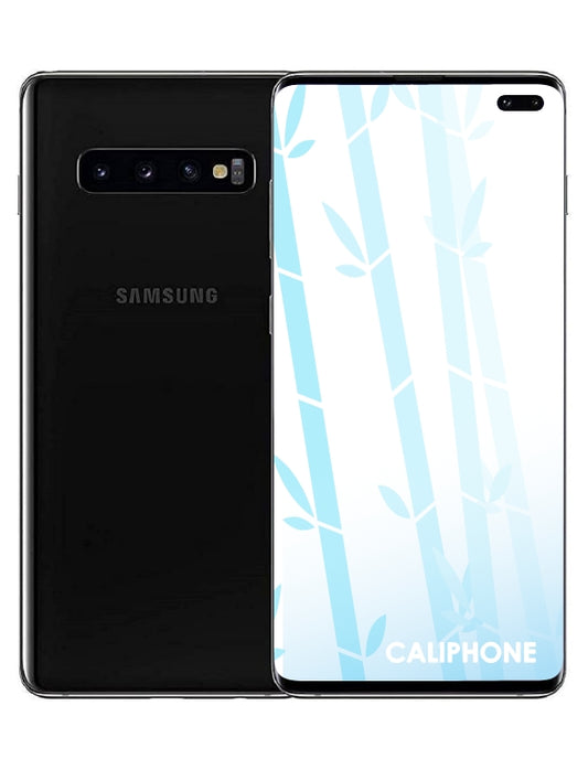 Galaxy S10